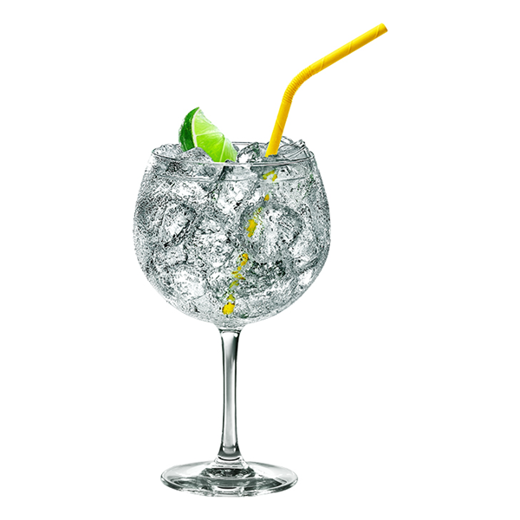 Gordon's Gin & Tonic